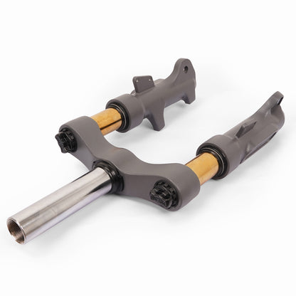 Front Suspension Fork for RZ800 Scooter