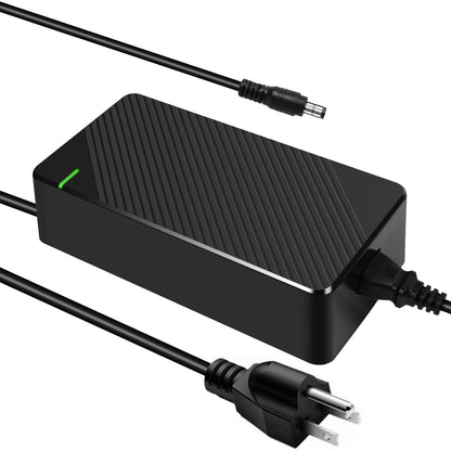 48V 6A E-Scooter Fast Charger(1 Plugs) for RZ800, RZ1000